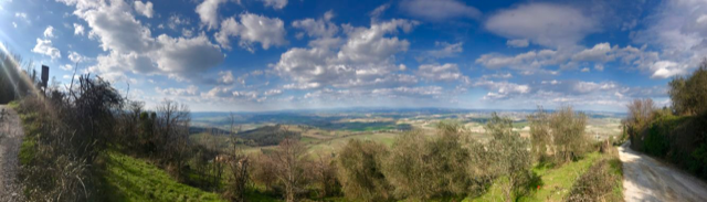 Montalcino il panorama