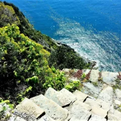 Precipizio sul mare di Monesteroli