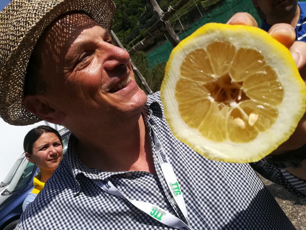  Amalfi Lemon Experience