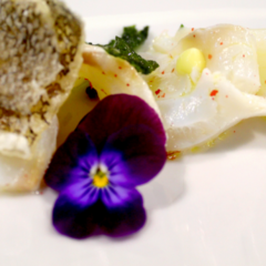 Paolo Gramaglia, il baccala'