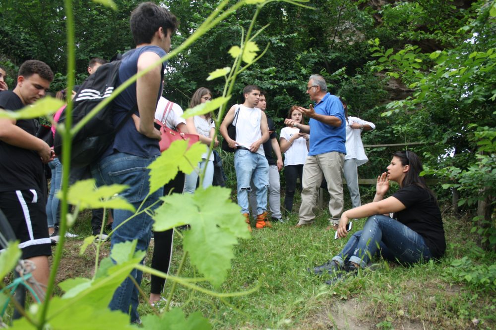 A scuola tra i vigneti di Cantine dell'Averno