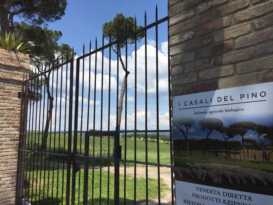 Casali del Pino, l'ingresso