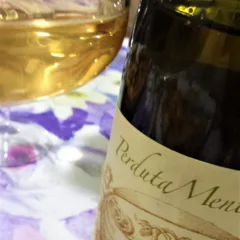 Perduta mente 2016, La Vigna