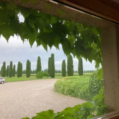 Tenuta Ca’ Bolani