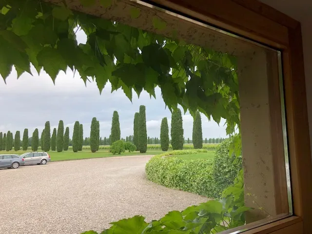 Tenuta Ca’ Bolani