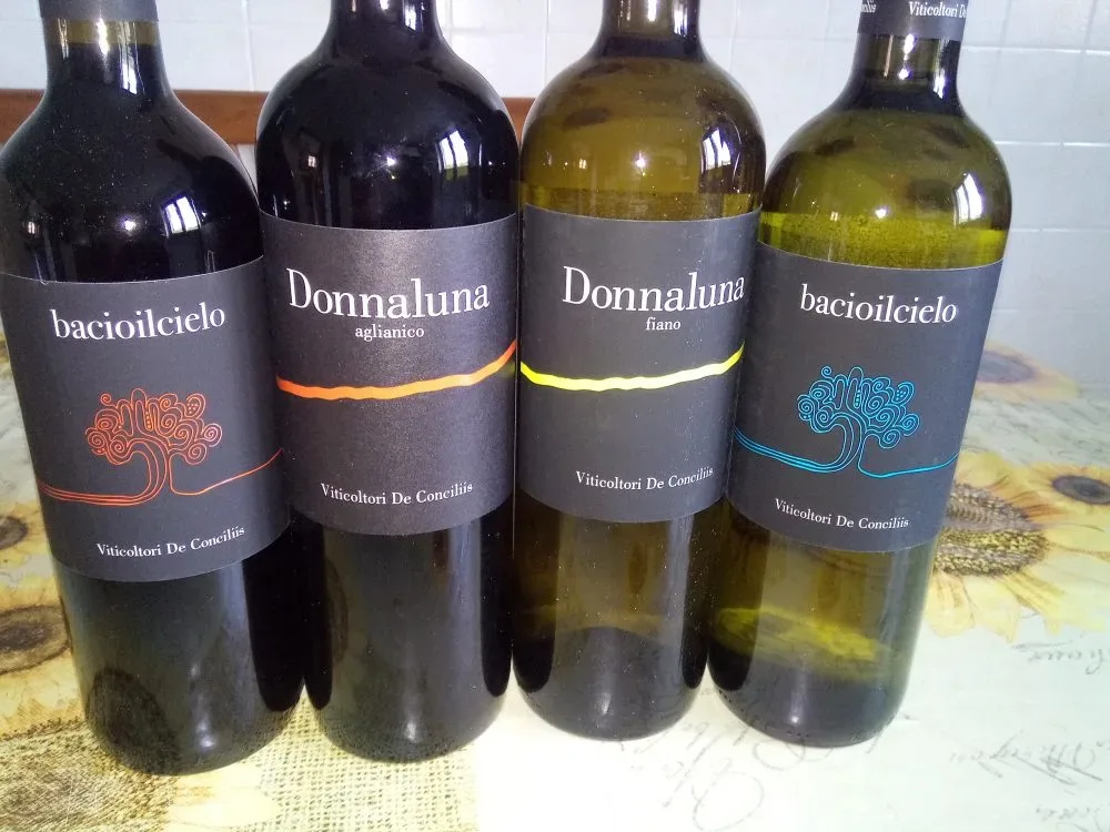 Vini Viticoltori De Conciliis