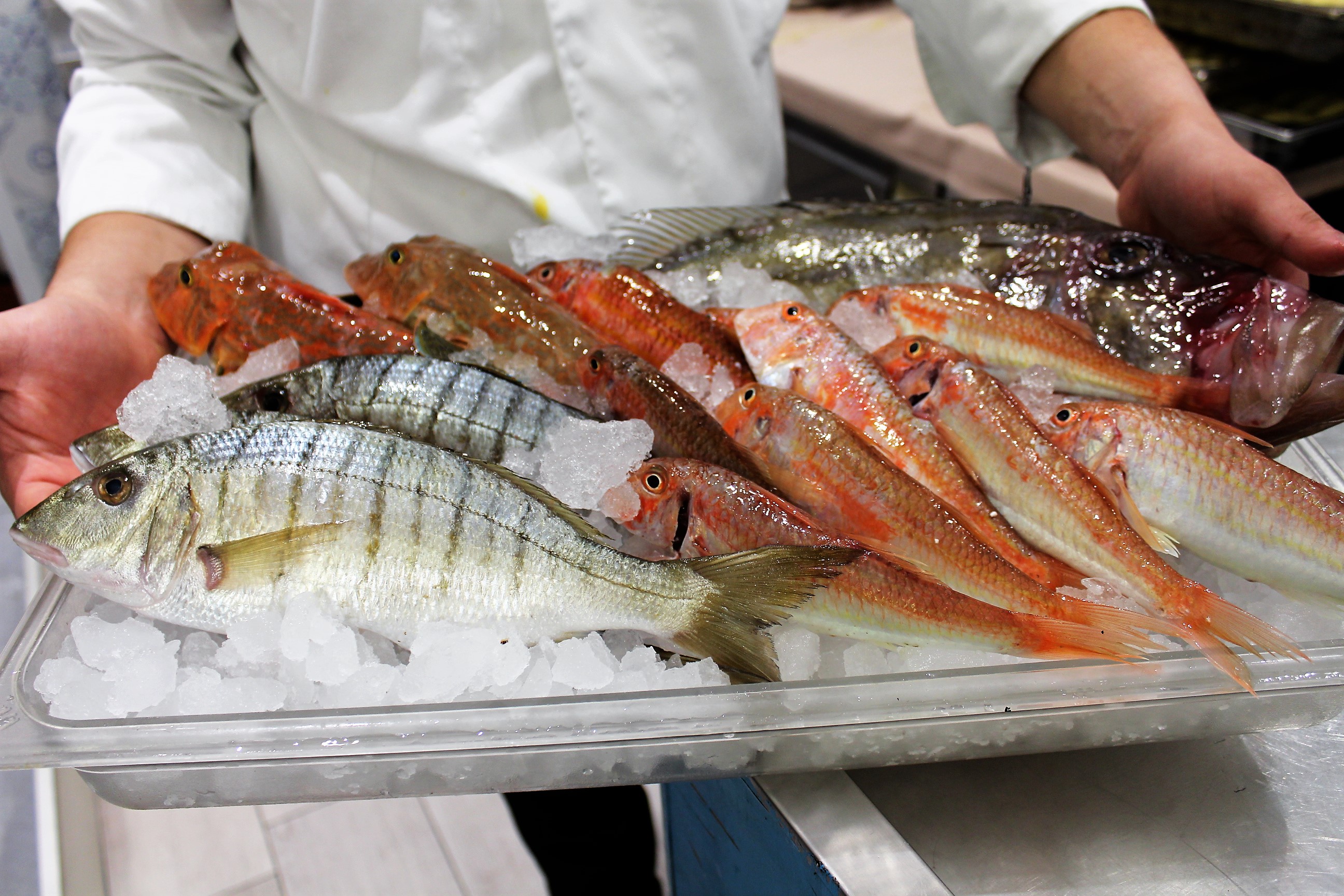 Da.Ni'. Formia – la selezione del pescato di Danilo Prota