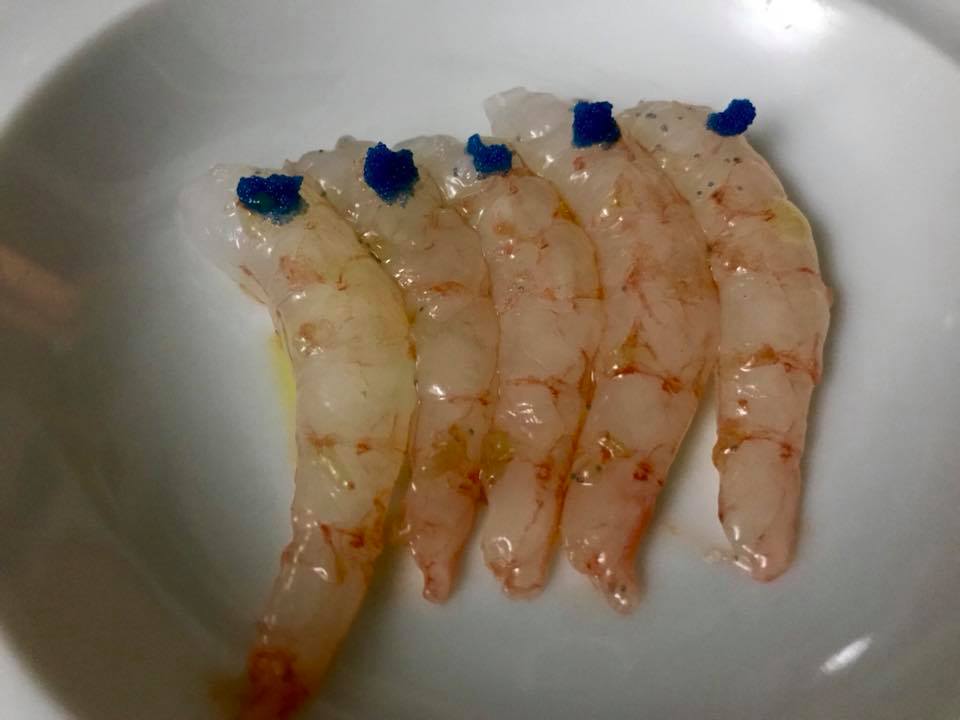 Papavero, assoluto di gamberi