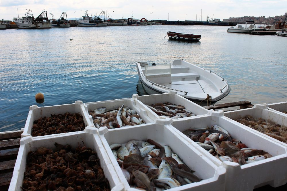 Da.Ni'. Formia – il pescato locale in arrivo