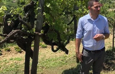 Antonio Di Carlo di Cantina Le Macchie e alle sue spalle la vite di 150 anni di Cesenese Nero