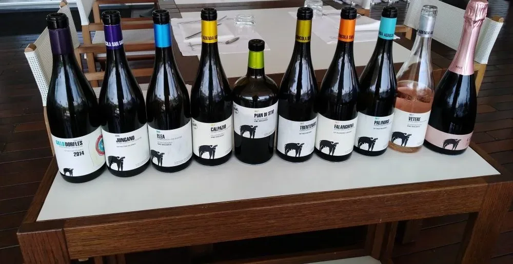 Azienda San Salvatore Bottiglie degustate