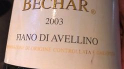 Bechar 2003 Caggiano
