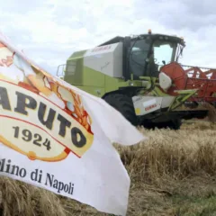 Capodanno del Mugnaio 2018