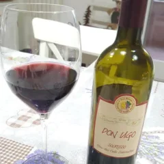 Don Ugo 2016 Campania igt Cantine del SolRosso