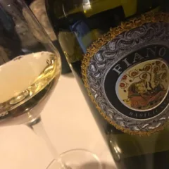 Fiano 2017 Basilicata Carbone
