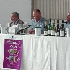 La longevitaa' dei vini bianchi