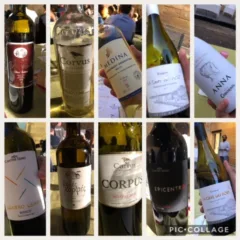 Etichette in degustazione allo Scirocco Wine Fest provenienti da Grecia, Turchia, Malta, Spagna e Francia e Italia