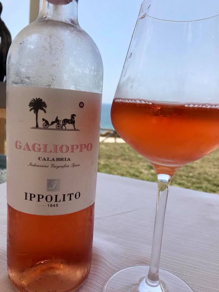 Gaglioppo Rosato Ippolito