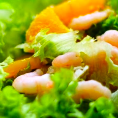 Il biondo tradivo di Trebisacce ed i gamberetti rosa dello Jonio