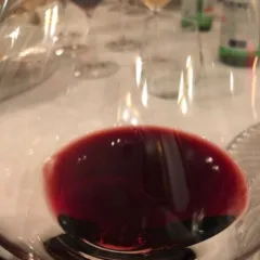Il colore rubino dell’Amarone