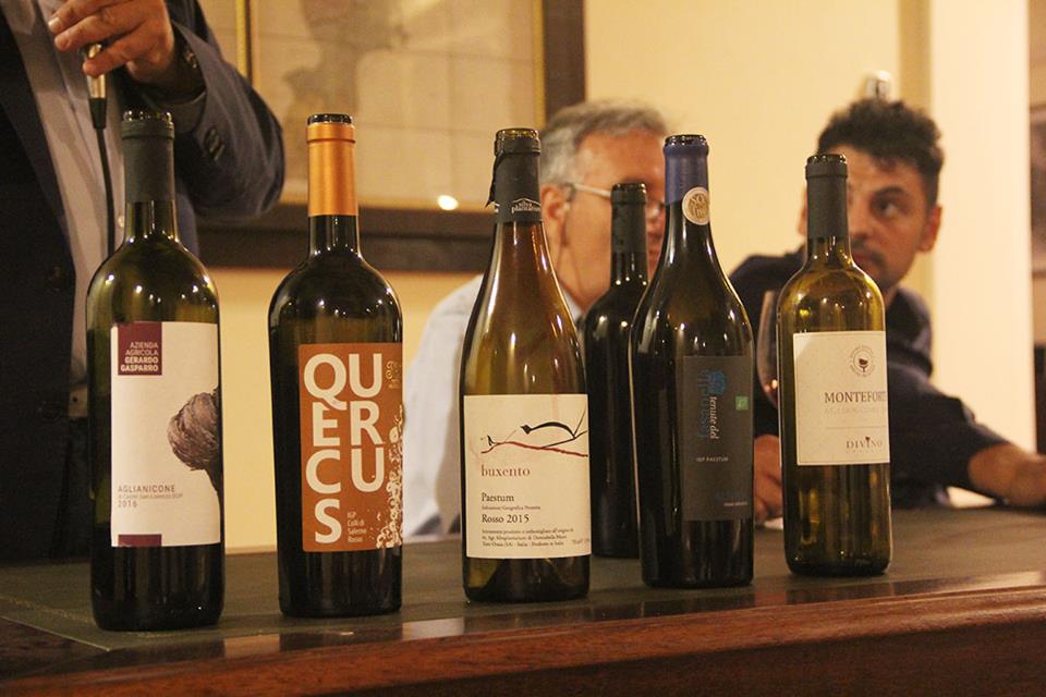 Terre dell’Aglianicone - le bottiglie degustate