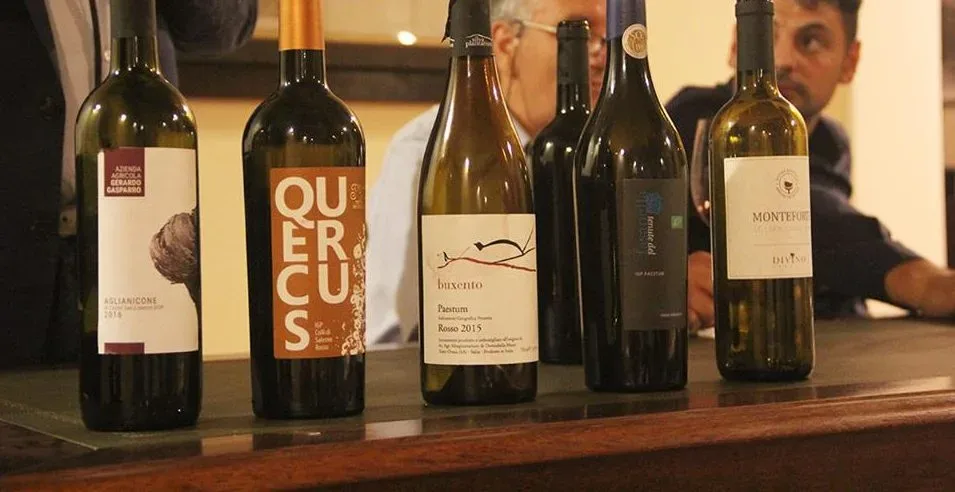 Terre dell’Aglianicone - le bottiglie degustate