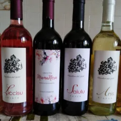 Vini Azienda Perrone Antonella