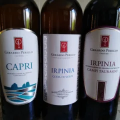 Vini Cantine Gerardo Perillo