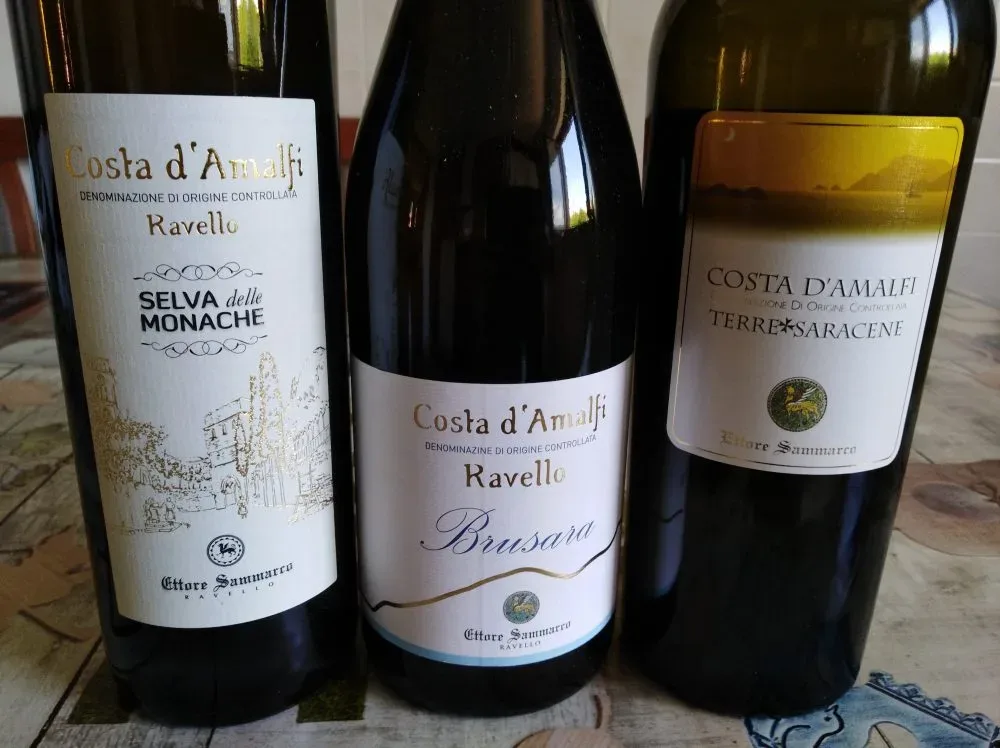 Vini azienda Ettore Sammarco