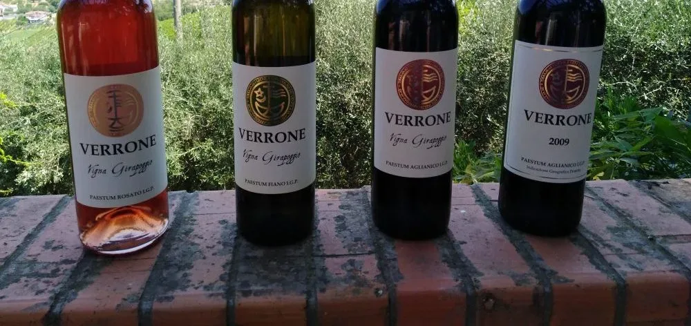 Vini azienda Verrone