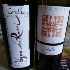 Vini di Cobellis vincitori a Radici del Sud 2018