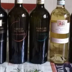 Vini di Villa Matilde