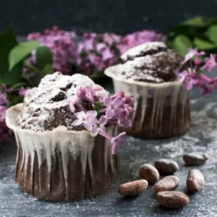 Muffin cacao e mango