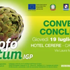 Il carciofo di Paestum igp - Convegno conclusivo