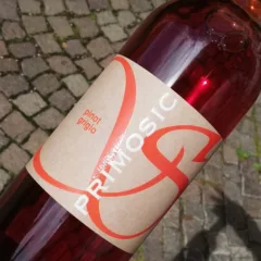 Collio Pinot Grigio Skin 2015 Primosic