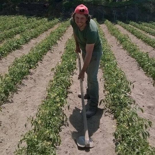 Angelo Di Giacomo Giòli