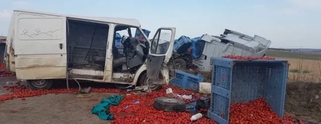 Incidente stranieri a Foggia