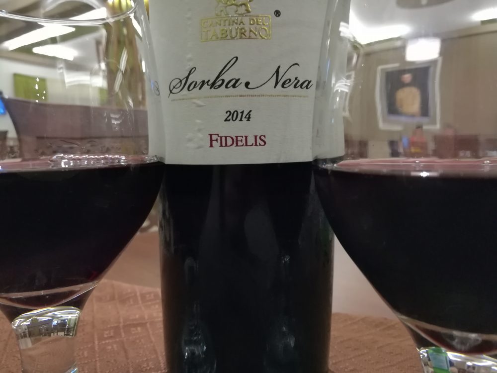 Di Stora - L’Aglianico del Taburno Fidelis Sorba Nera