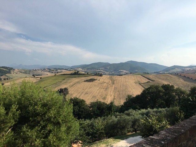 Lacrima di Morro d’Alba - Paesaggio da Loretello