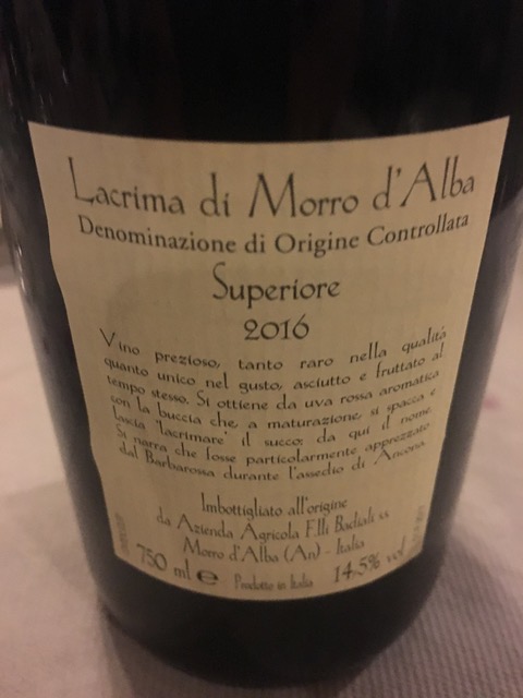 Lacrima di Morro d’Alba - retro etichetta