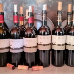 Lowengang Alto Adige Cabernet in verticale - Bottiglie
