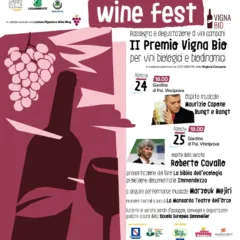 Mediterranean wine fest