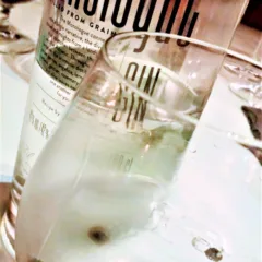 Pri Lojzetu, Gin Monologue