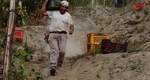 Raffaele Moccia Agnanum