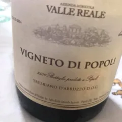 Vigneto di Popoli 2014 Valle Reale