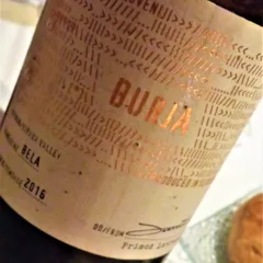 Vipavska Dolina Burja Bela 2016, Burja