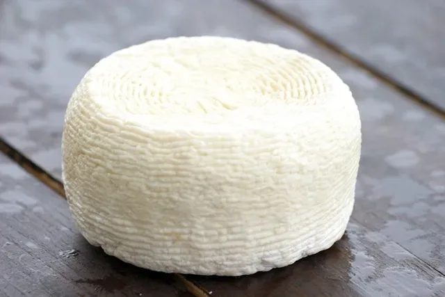 Cacioricotta cilentana