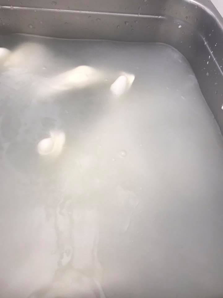 La mozzarella nell'acqua fredda per qualche minuto