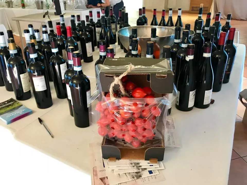 I Vini rossi del Vesuvio