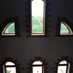 Moldova wines - Purcari vigne